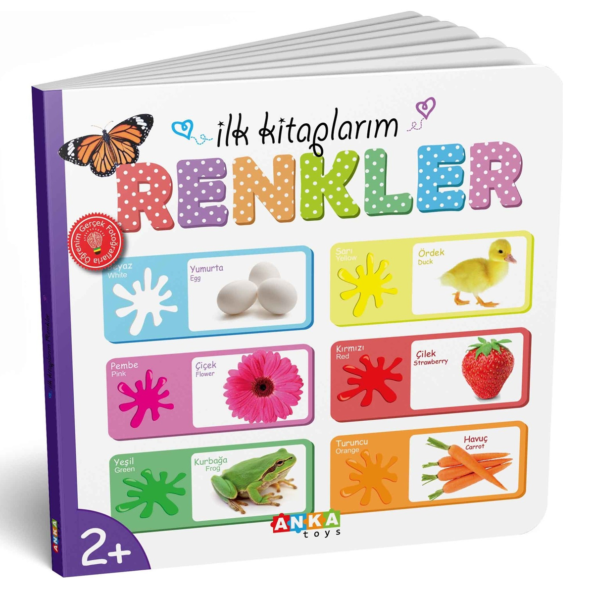 Görsel 2