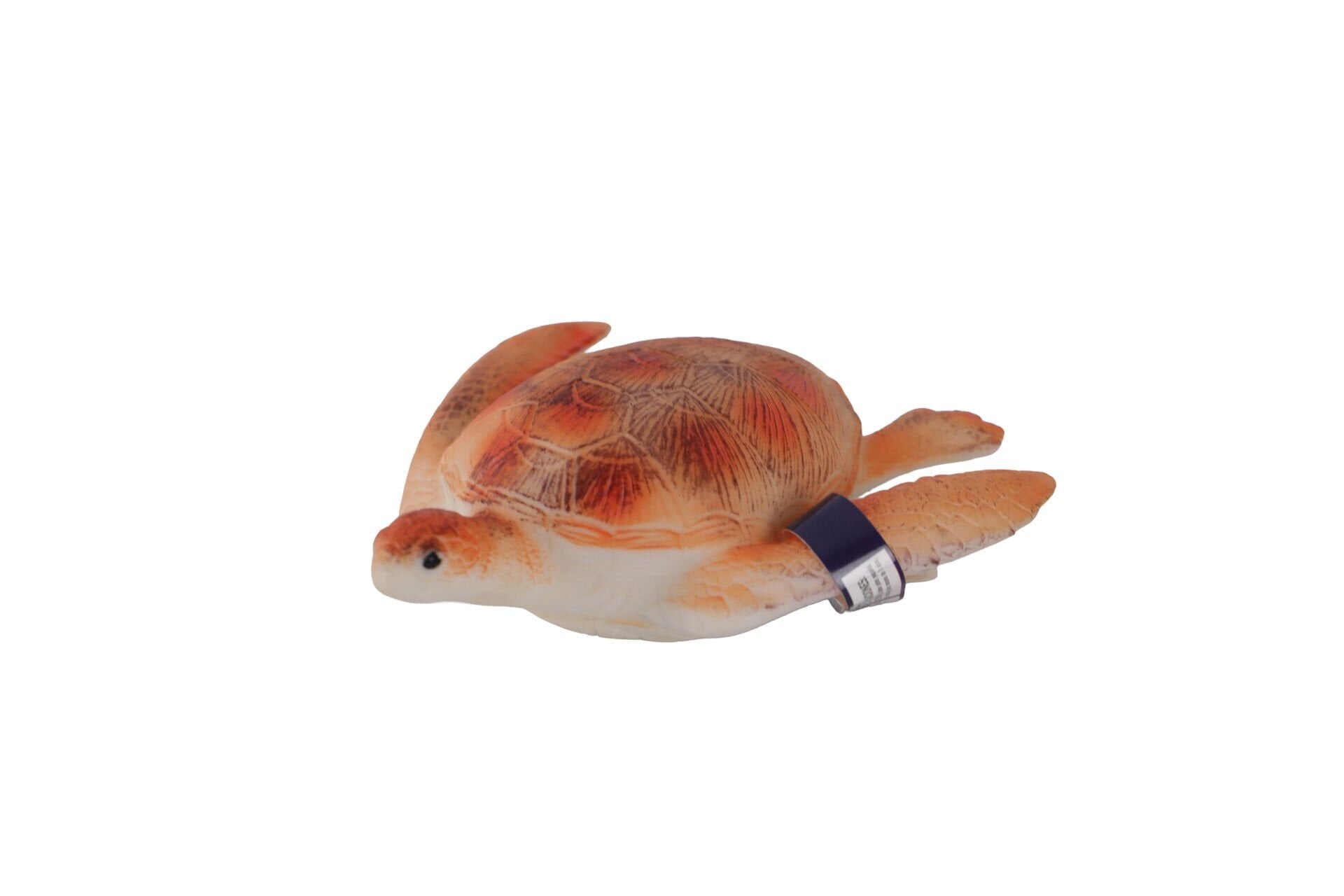 Görsel 2