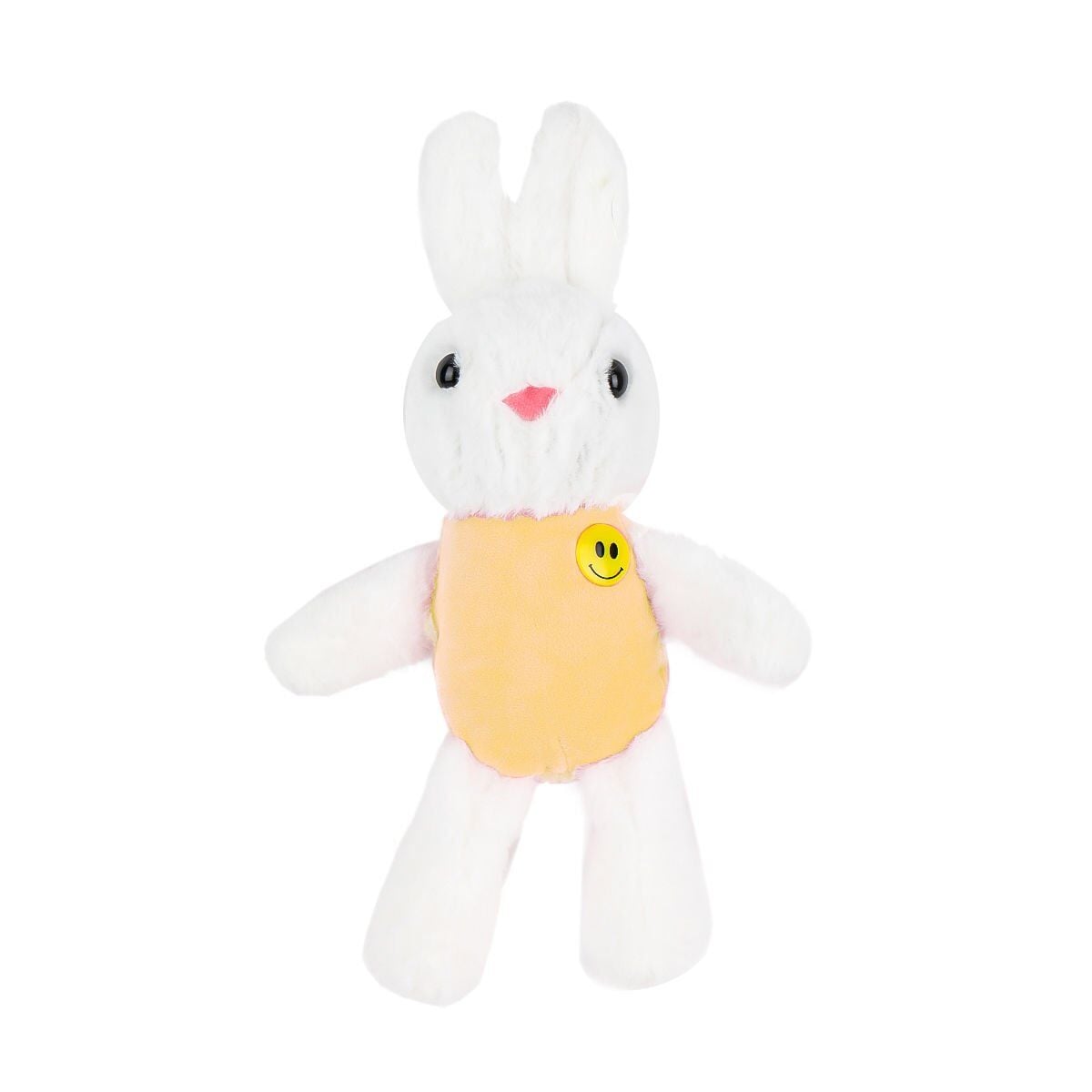 Görsel 2