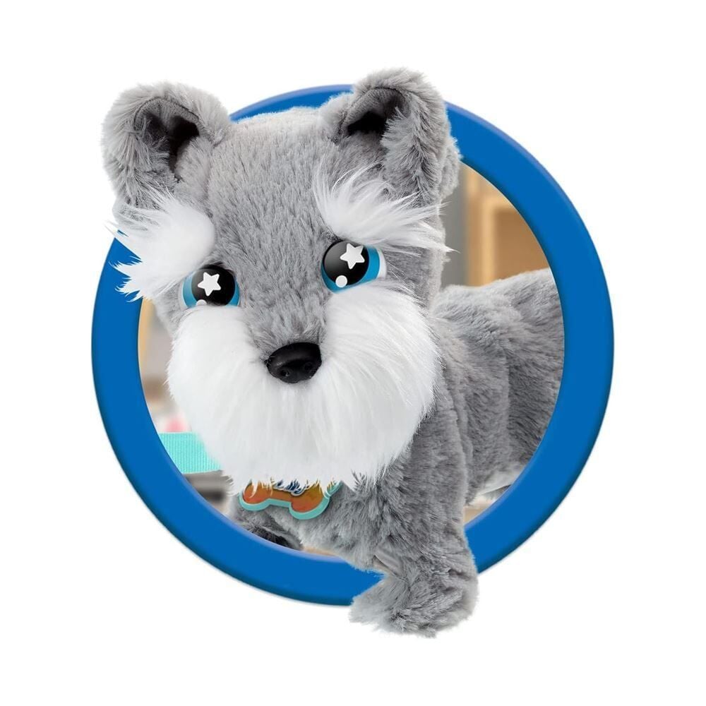 Görsel 3