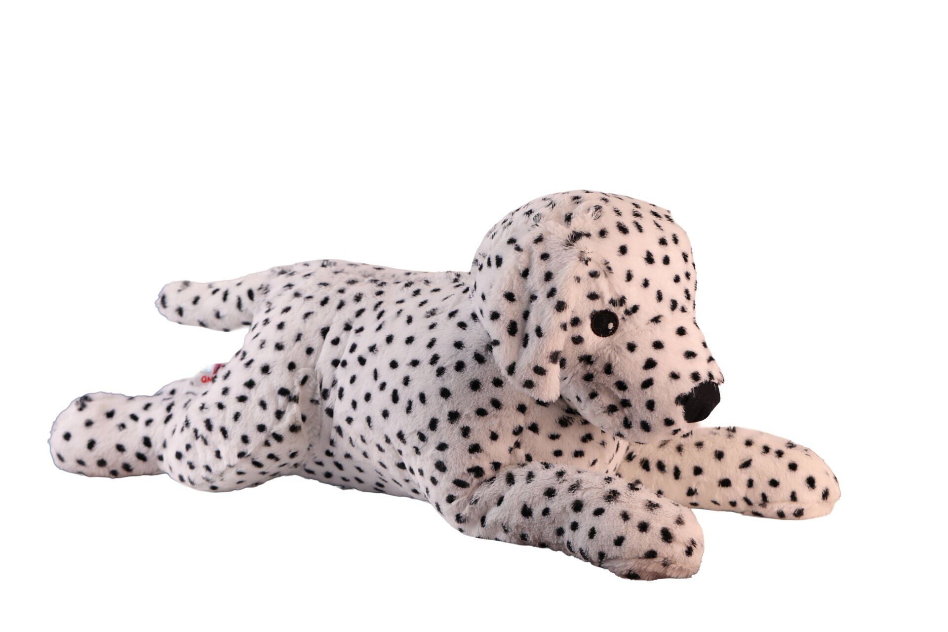 1140 90 Cm Dalmaçyali Köpek