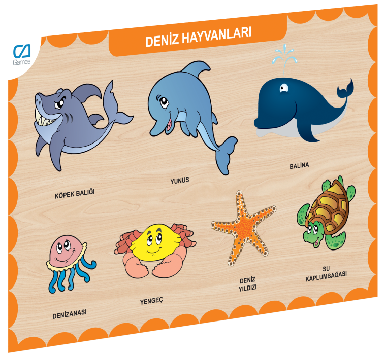 Caahs-3212 Ca Games Ahşap Deni̇z Hayvanlari Bul-Tak
