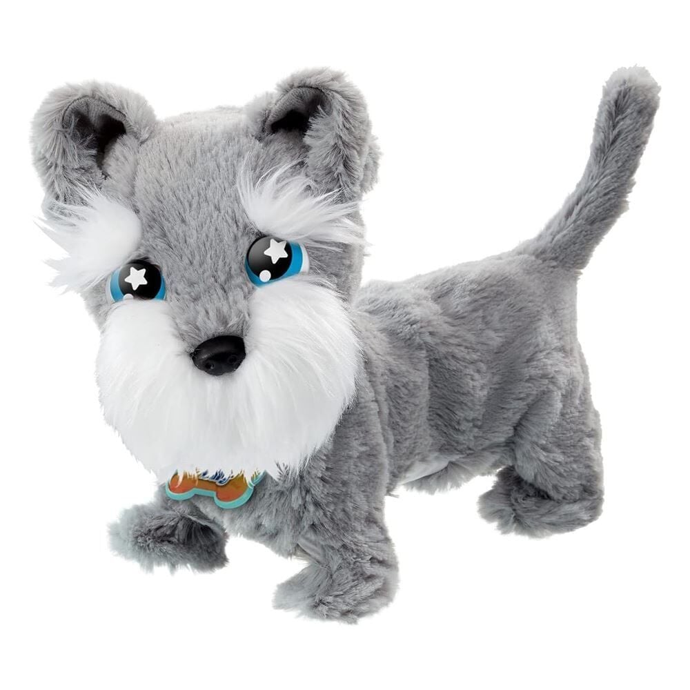 Görsel 2