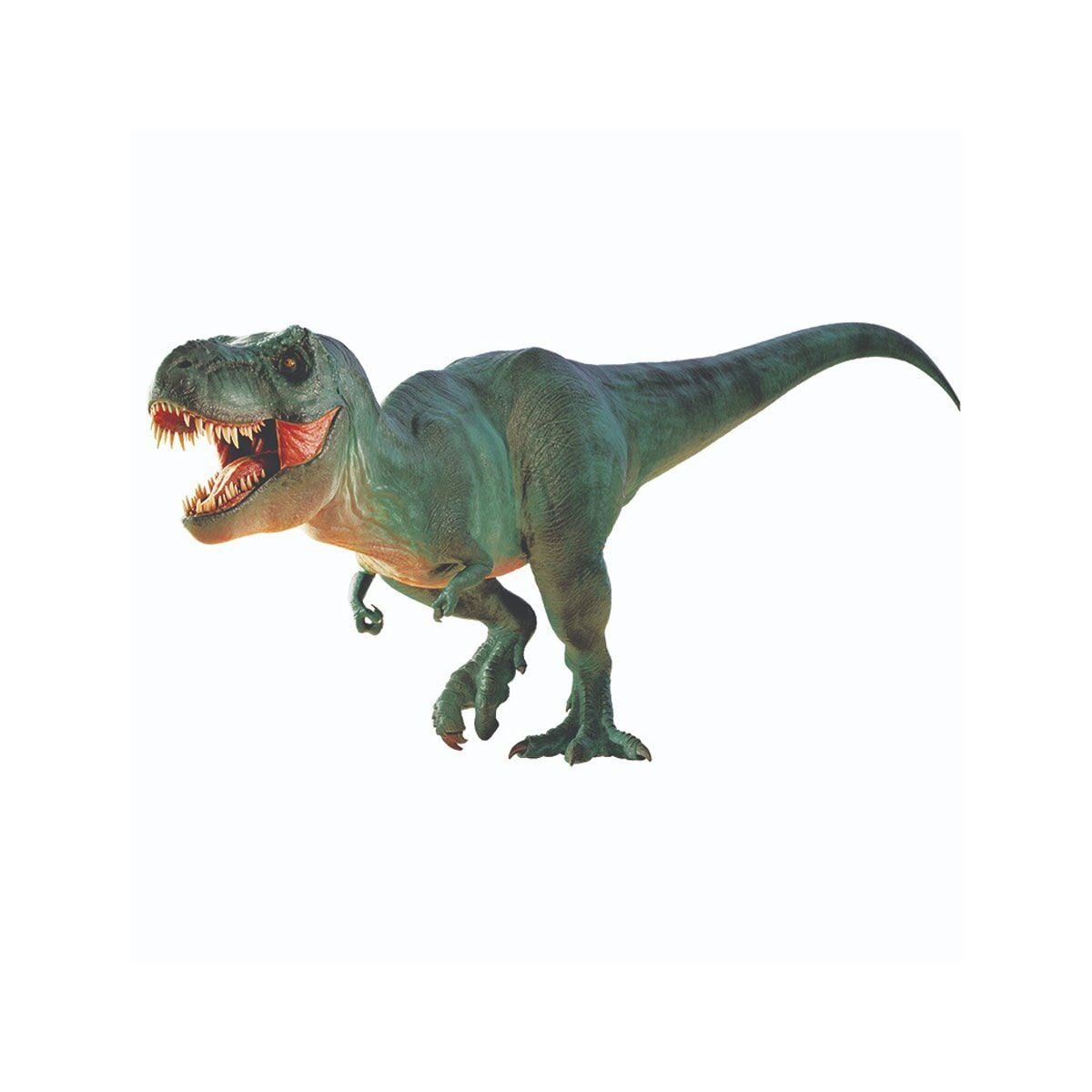 Görsel 3