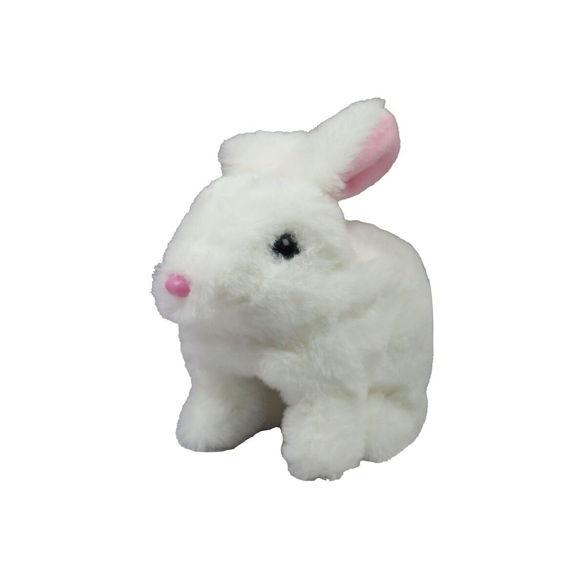 Görsel 2