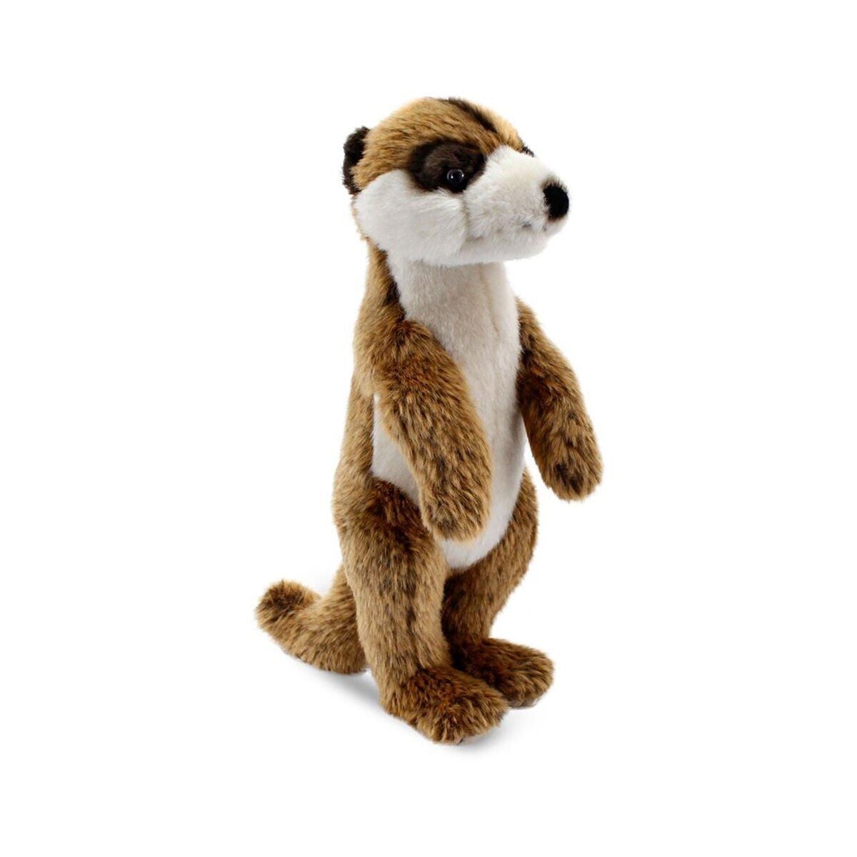 Görsel 2