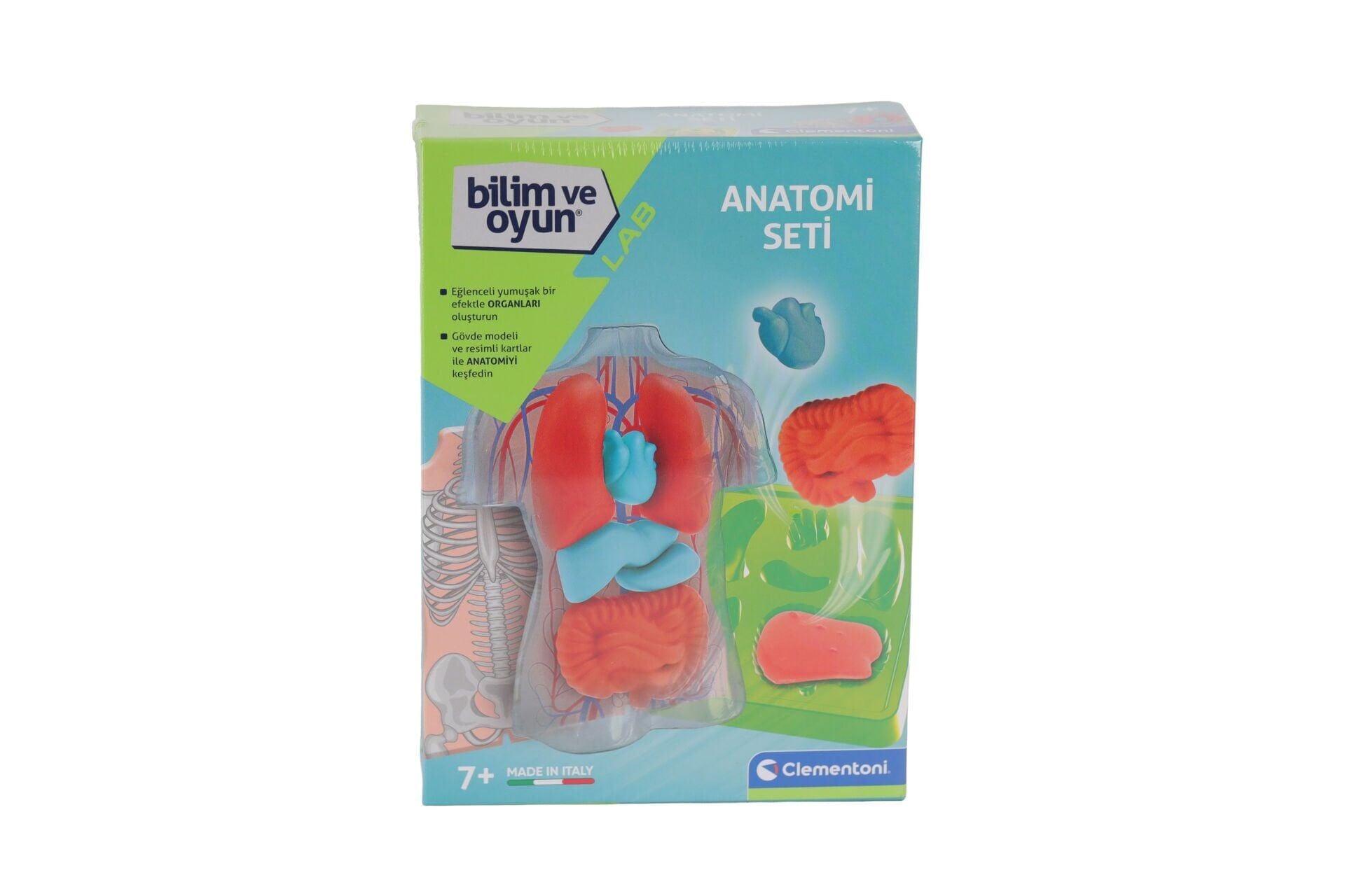 64742 Bilim Ve Oyun- Anatomi Seti