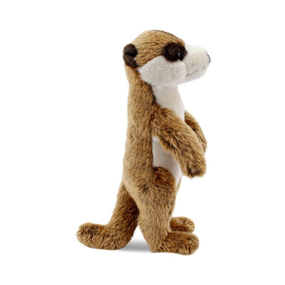 Görsel 3